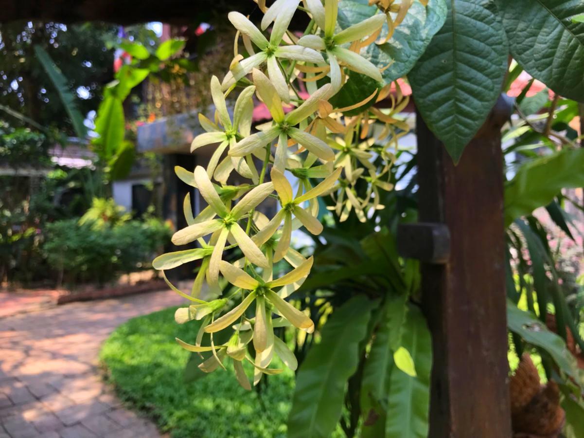 Moradok Thai Guesthouse Phra Nakhon Si Ayutthaya Buitenkant foto