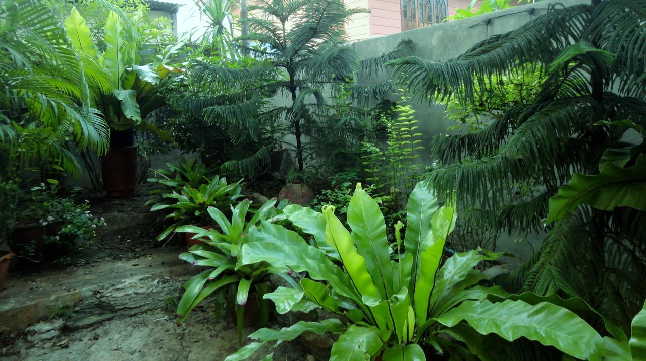 Moradok Thai Guesthouse Phra Nakhon Si Ayutthaya Buitenkant foto